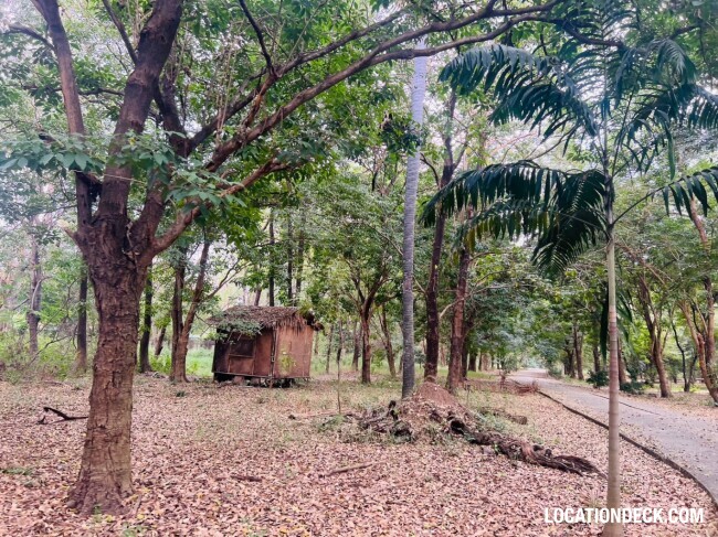 Suan Klin Kaew Forest - Nonthaburi, Thailand Filming Location