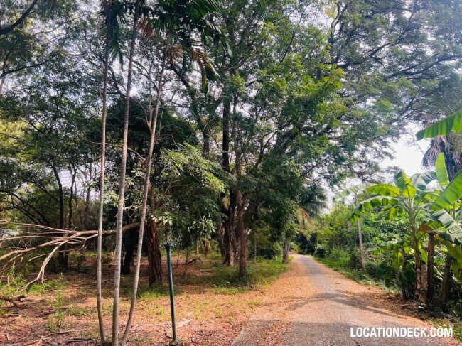 Suan Klin Kaew Forest - Nonthaburi, Thailand Filming Location