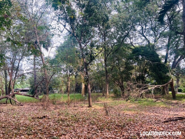Suan Klin Kaew Forest - Nonthaburi, Thailand Filming Location
