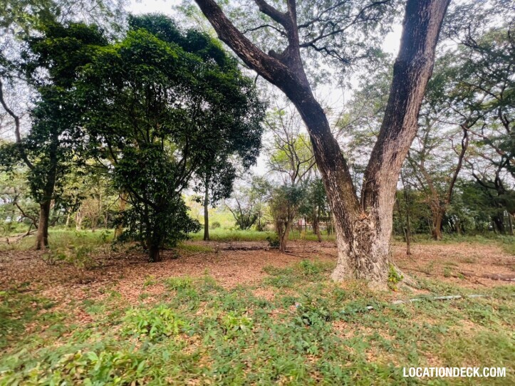 Suan Klin Kaew Forest - Nonthaburi, Thailand Filming Location