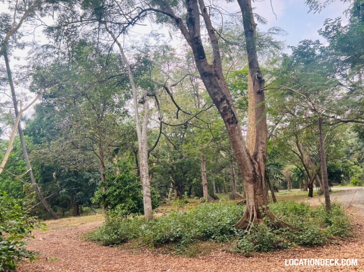 Suan Klin Kaew Forest - Nonthaburi, Thailand Filming Location
