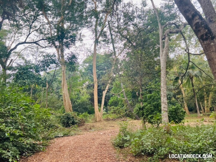 Suan Klin Kaew Forest - Nonthaburi, Thailand Filming Location