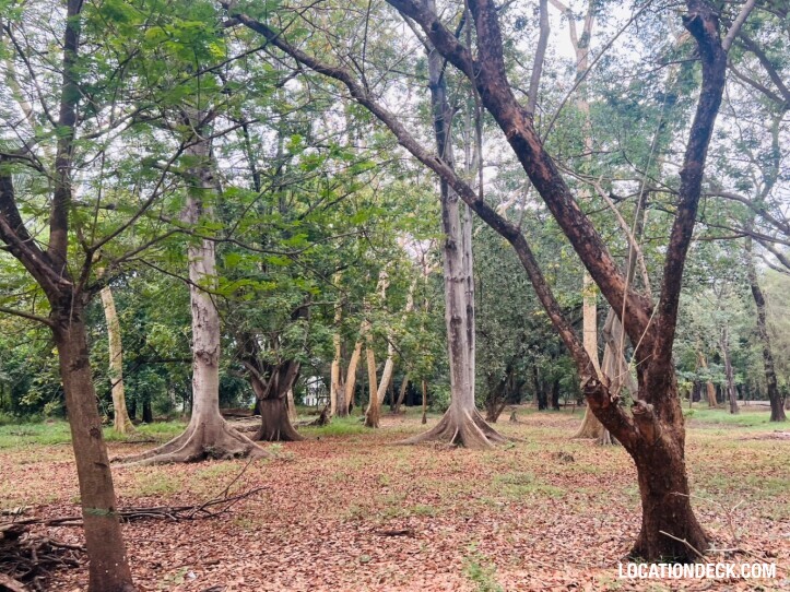 Suan Klin Kaew Forest - Nonthaburi, Thailand Filming Location
