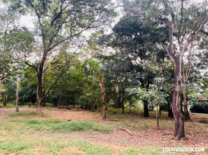 Suan Klin Kaew Forest - Nonthaburi, Thailand Filming Location