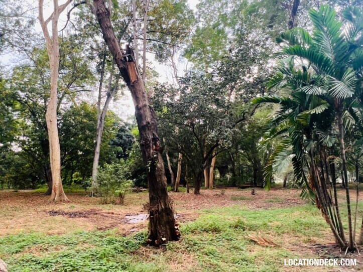 Suan Klin Kaew Forest - Nonthaburi, Thailand Filming Location