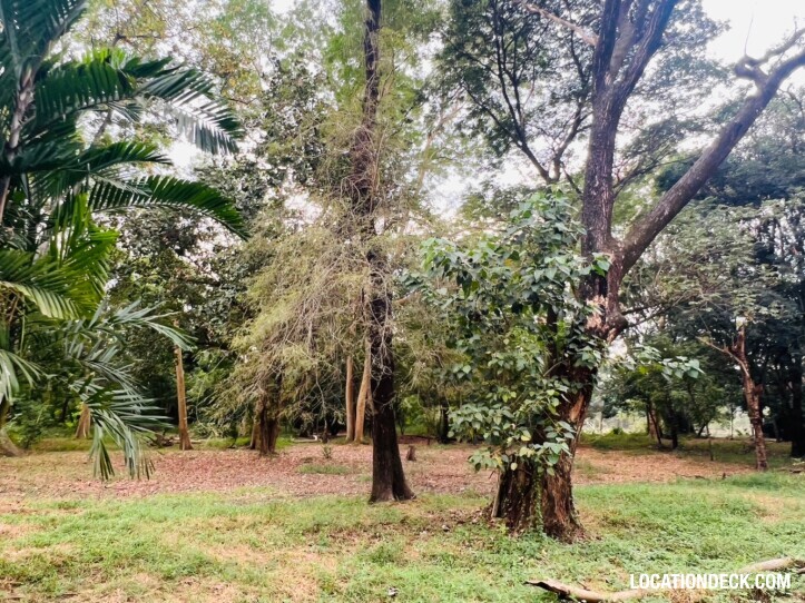 Suan Klin Kaew Forest - Nonthaburi, Thailand Filming Location