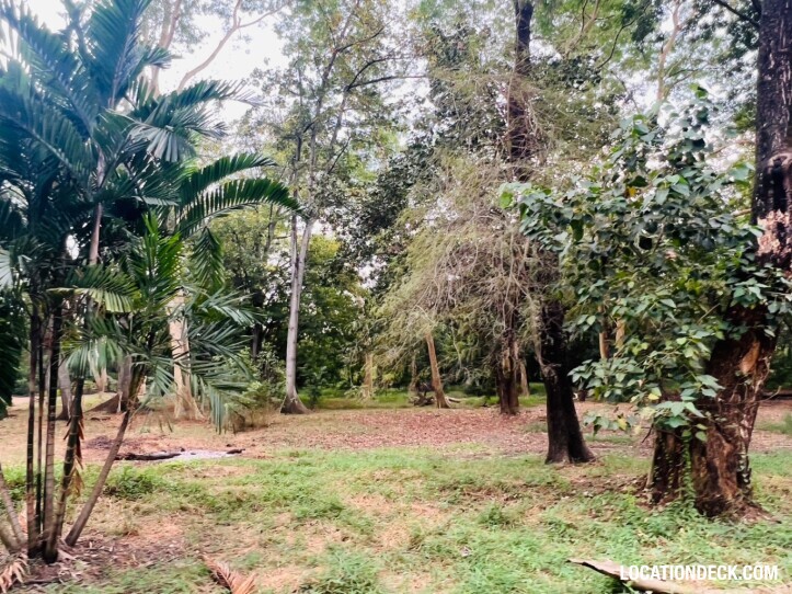 Suan Klin Kaew Forest - Nonthaburi, Thailand Filming Location