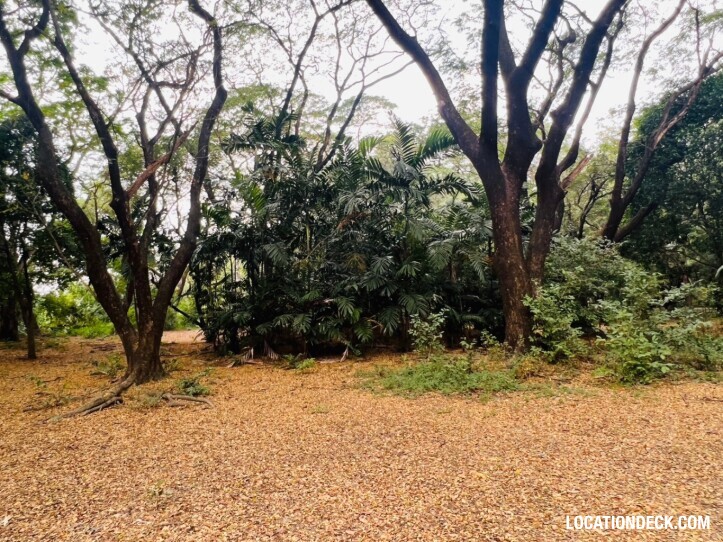 Suan Klin Kaew Forest - Nonthaburi, Thailand Filming Location