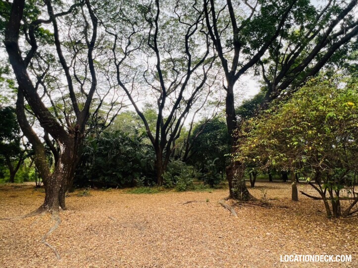 Suan Klin Kaew Forest - Nonthaburi, Thailand Filming Location