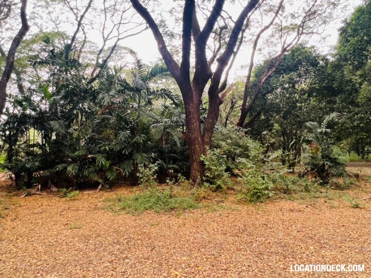 Suan Klin Kaew Forest - Nonthaburi, Thailand Filming Location