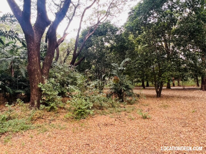 Suan Klin Kaew Forest - Nonthaburi, Thailand Filming Location