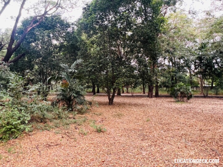 Suan Klin Kaew Forest - Nonthaburi, Thailand Filming Location