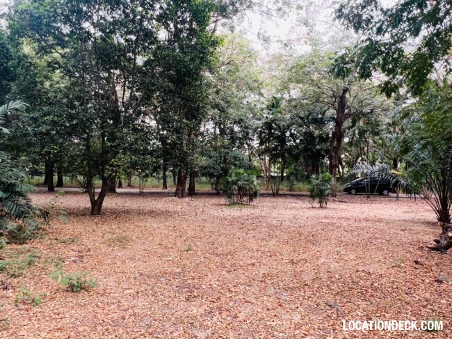 Suan Klin Kaew Forest - Nonthaburi, Thailand Filming Location