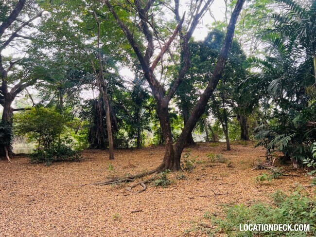 Suan Klin Kaew Forest - Nonthaburi, Thailand Filming Location