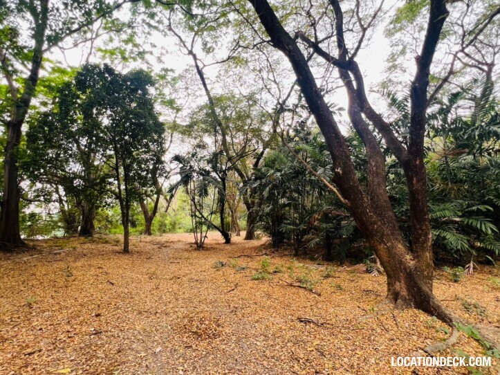 Suan Klin Kaew Forest - Nonthaburi, Thailand Filming Location