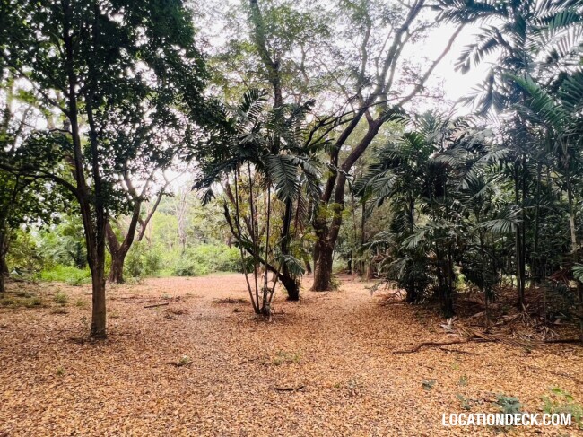 Suan Klin Kaew Forest - Nonthaburi, Thailand Filming Location