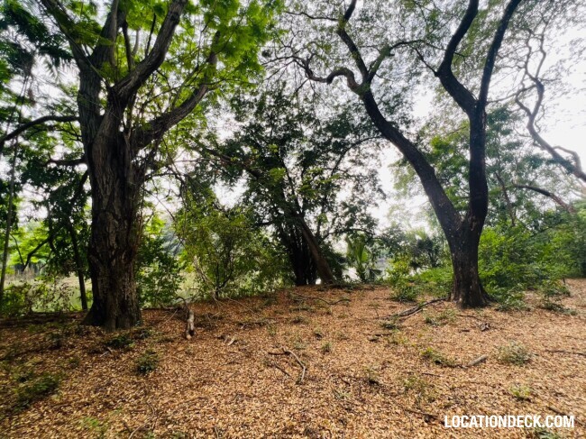 Suan Klin Kaew Forest - Nonthaburi, Thailand Filming Location