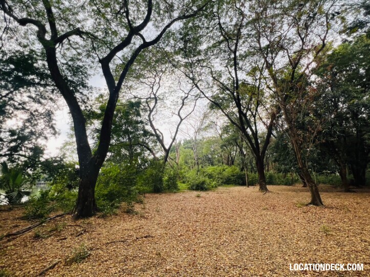 Suan Klin Kaew Forest - Nonthaburi, Thailand Filming Location