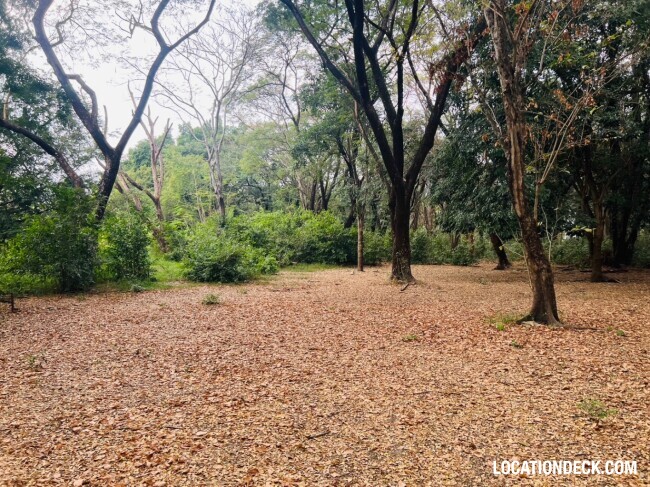 Suan Klin Kaew Forest - Nonthaburi, Thailand Filming Location