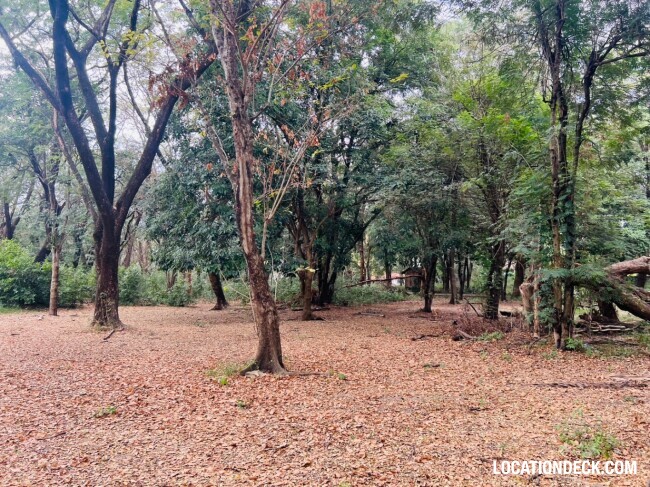 Suan Klin Kaew Forest - Nonthaburi, Thailand Filming Location