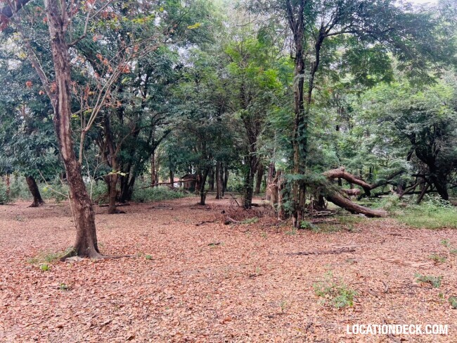 Suan Klin Kaew Forest - Nonthaburi, Thailand Filming Location