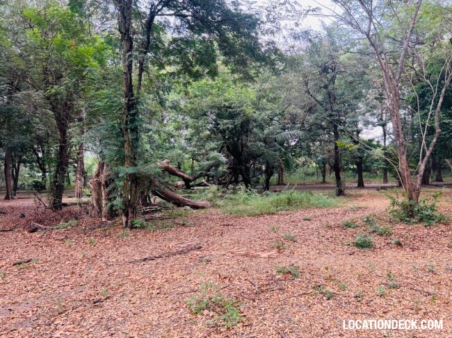 Suan Klin Kaew Forest - Nonthaburi, Thailand Filming Location