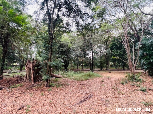 Suan Klin Kaew Forest - Nonthaburi, Thailand Filming Location