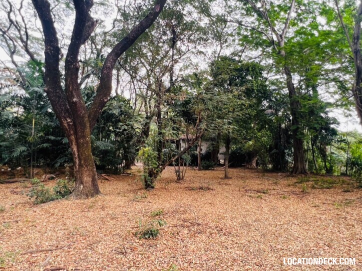 Suan Klin Kaew Forest - Nonthaburi, Thailand Filming Location