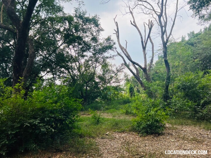 Suan Klin Kaew Forest - Nonthaburi, Thailand Filming Location