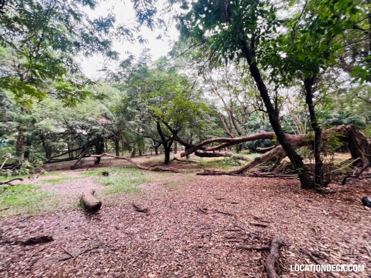 Suan Klin Kaew Forest - Nonthaburi, Thailand Filming Location