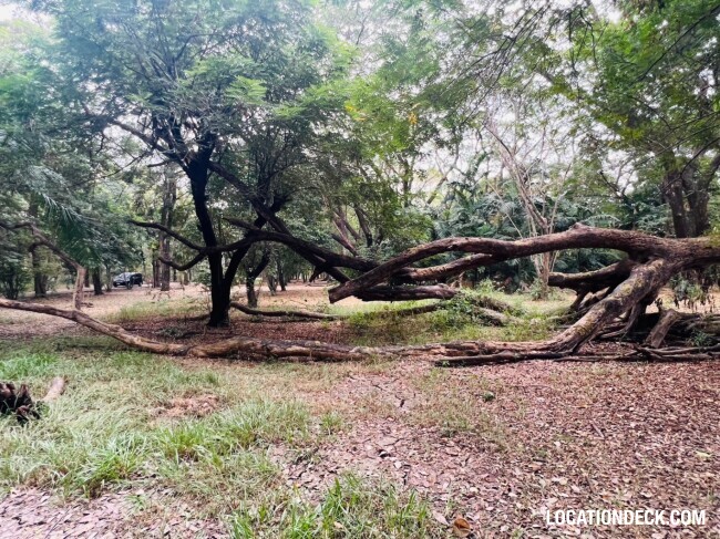 Suan Klin Kaew Forest - Nonthaburi, Thailand Filming Location