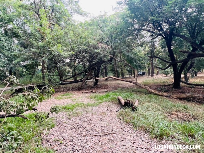 Suan Klin Kaew Forest - Nonthaburi, Thailand Filming Location