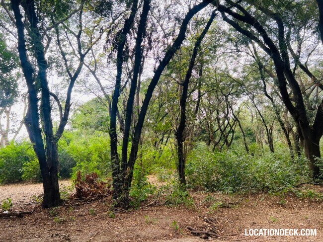 Suan Klin Kaew Forest - Nonthaburi, Thailand Filming Location