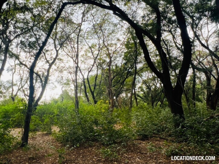 Suan Klin Kaew Forest - Nonthaburi, Thailand Filming Location