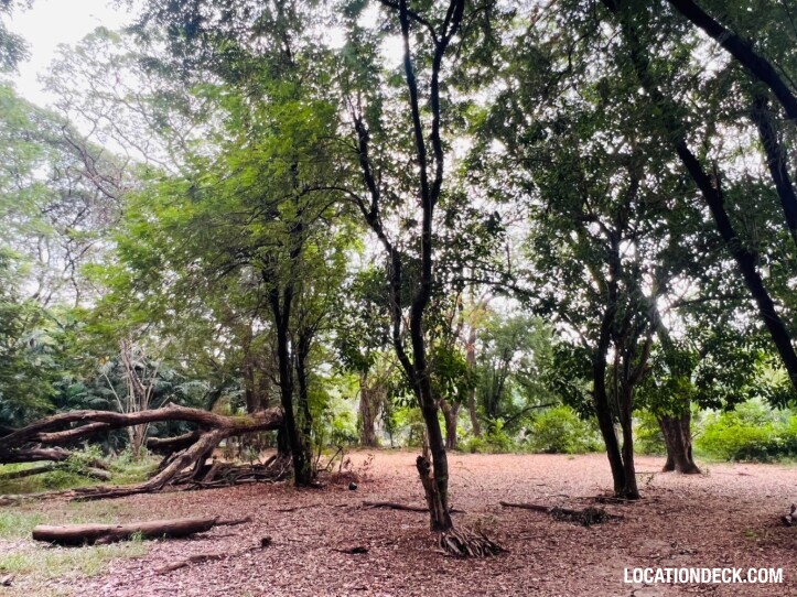 Suan Klin Kaew Forest - Nonthaburi, Thailand Filming Location