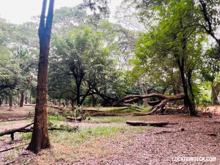 Suan Klin Kaew Forest - Nonthaburi, Thailand Filming Location