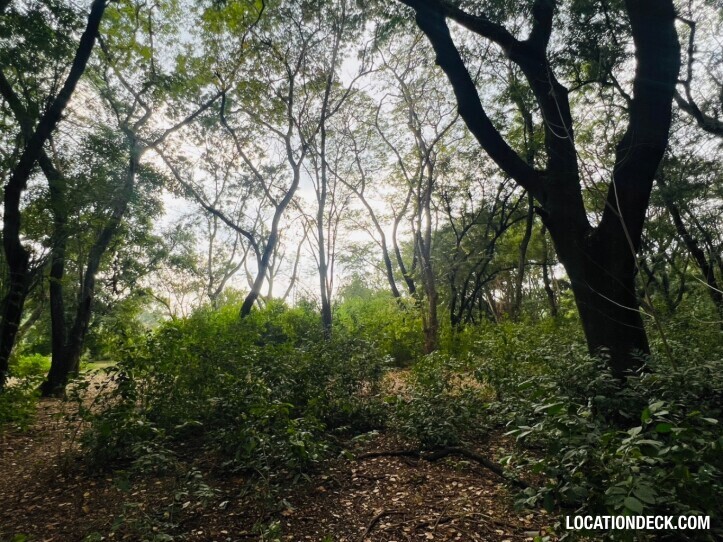 Suan Klin Kaew Forest - Nonthaburi, Thailand Filming Location