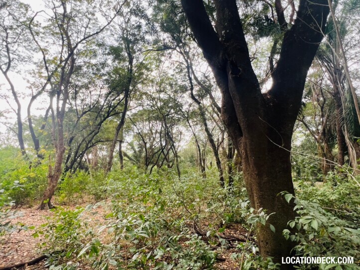 Suan Klin Kaew Forest - Nonthaburi, Thailand Filming Location