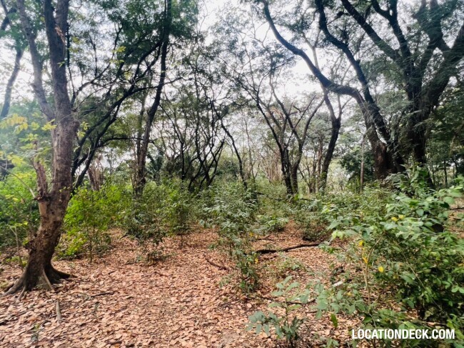 Suan Klin Kaew Forest - Nonthaburi, Thailand Filming Location