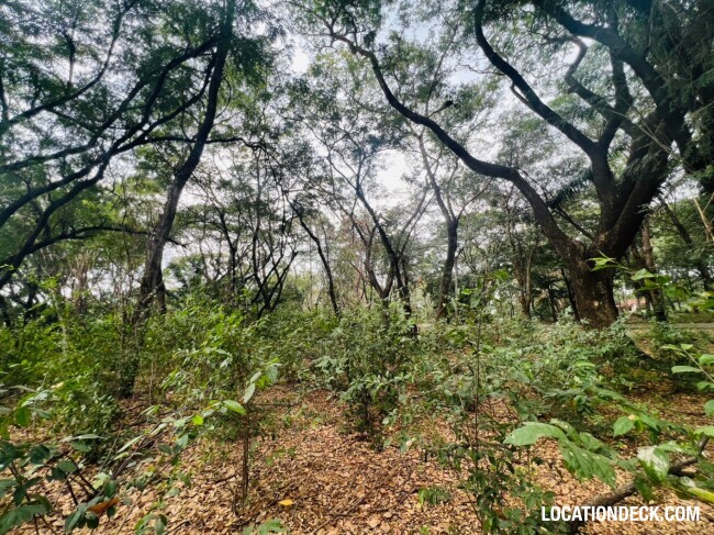 Suan Klin Kaew Forest - Nonthaburi, Thailand Filming Location
