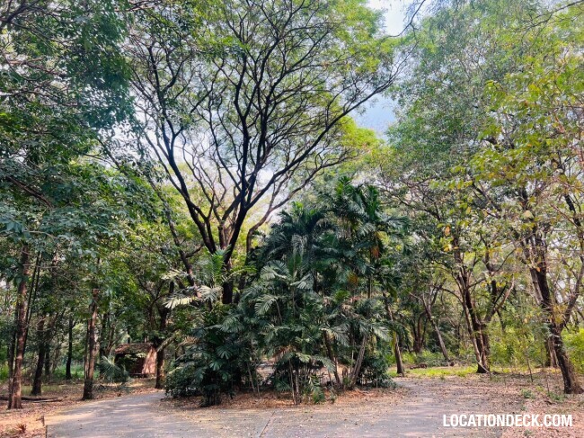 Suan Klin Kaew Forest - Nonthaburi, Thailand Filming Location