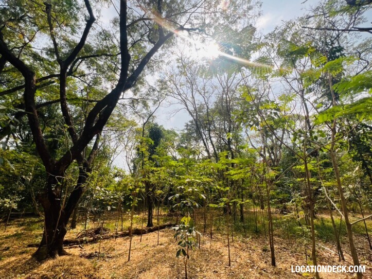 Suan Klin Kaew Forest - Nonthaburi, Thailand Filming Location