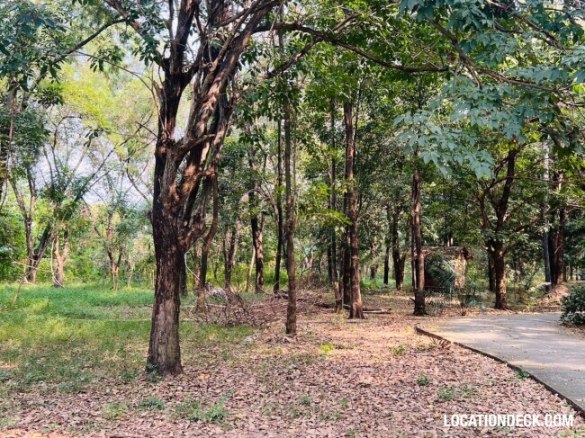 Suan Klin Kaew Forest - Nonthaburi, Thailand Filming Location