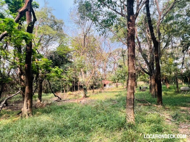 Suan Klin Kaew Forest - Nonthaburi, Thailand Filming Location