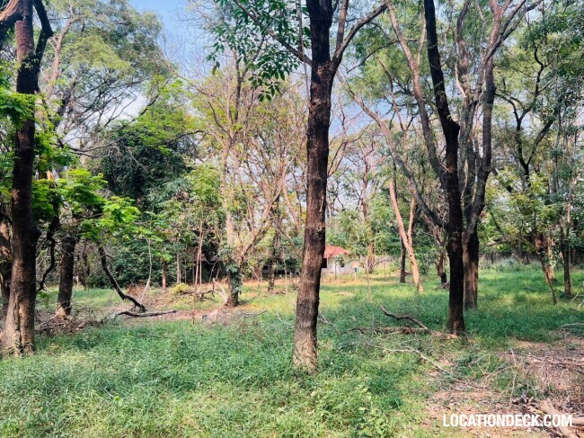 Suan Klin Kaew Forest - Nonthaburi, Thailand Filming Location