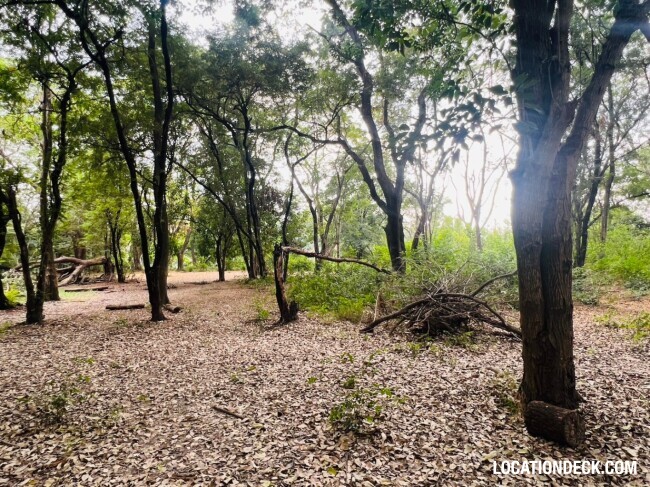 Suan Klin Kaew Forest - Nonthaburi, Thailand Filming Location