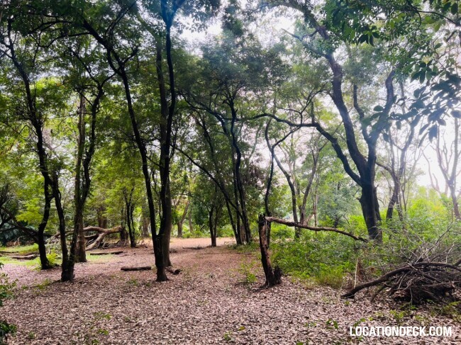 Suan Klin Kaew Forest - Nonthaburi, Thailand Filming Location