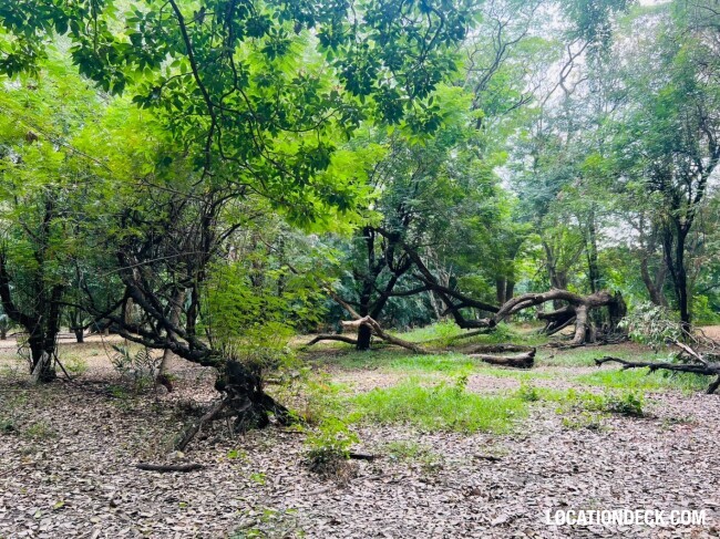Suan Klin Kaew Forest - Nonthaburi, Thailand Filming Location